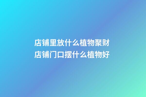 店铺里放什么植物聚财 店铺门口摆什么植物好